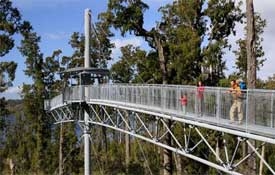 Westcoast Treetop Walk & Café